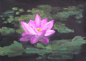 lotosovy-kvet-lotus-flower-1.jpg